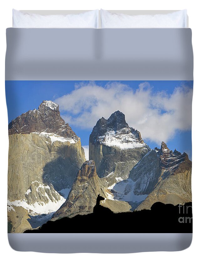 00345708 Duvet Cover featuring the photograph Guanaco and Cuernos del Paine #2 by Yva Momatiuk John Eastcott