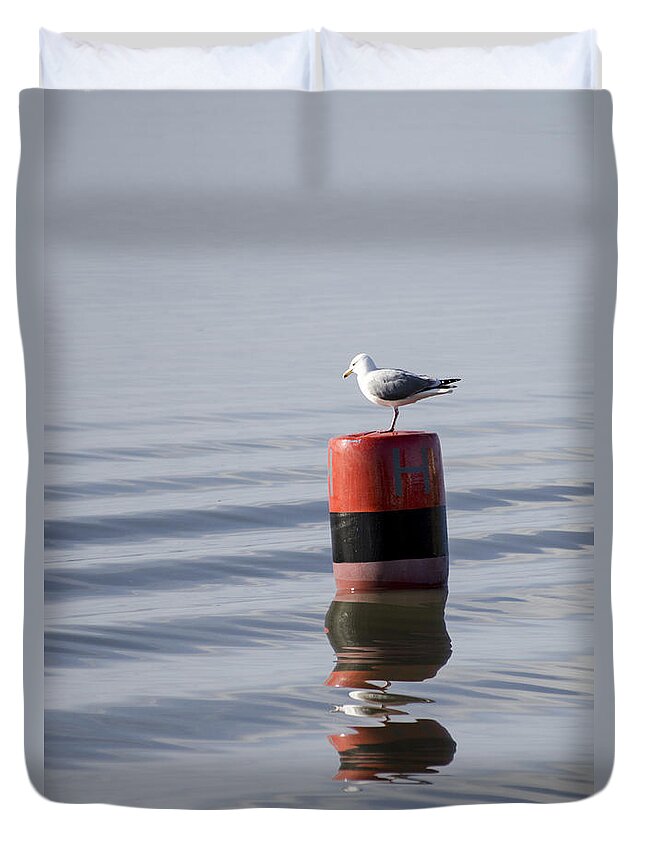 Sand Duvet Cover featuring the photograph Gull by Spikey Mouse Photography