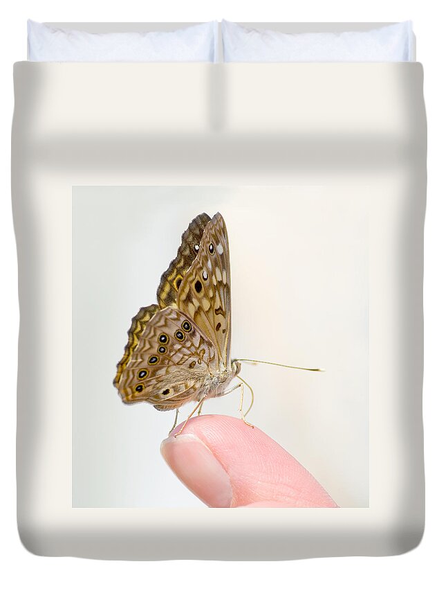 Hackberry Emperor Duvet Cover featuring the photograph Hackberry Emperor on Finger by Melinda Fawver