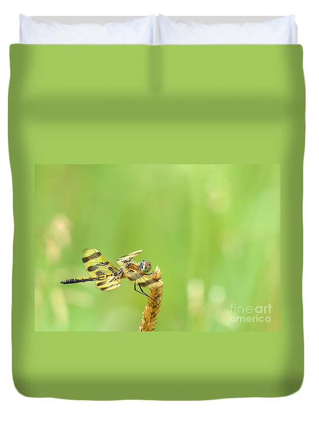 Halloween Penant Dragonfly Duvet Cover featuring the photograph Halloween in the Summer by Cheryl Baxter
