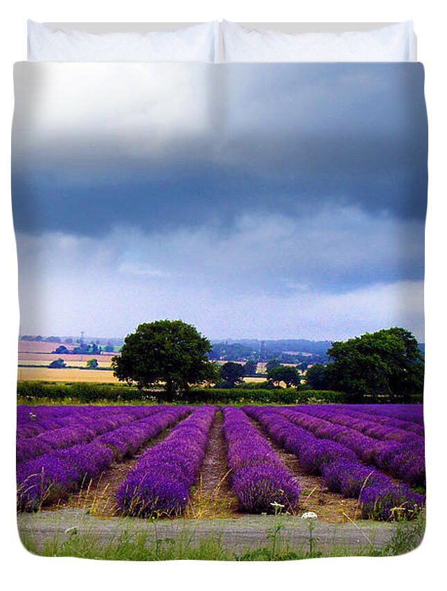 Lavender Field Duvet Cover featuring the photograph Hampshire Lavender Field by Terri Waters