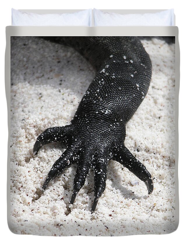 Marine Iguana Duvet Cover featuring the photograph Hand of a Marine Iguana by Liz Leyden