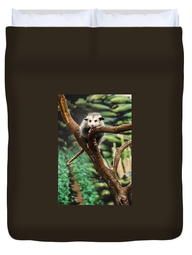 Opossum Duvet Cover featuring the photograph Hang In There Baby by John Haldane