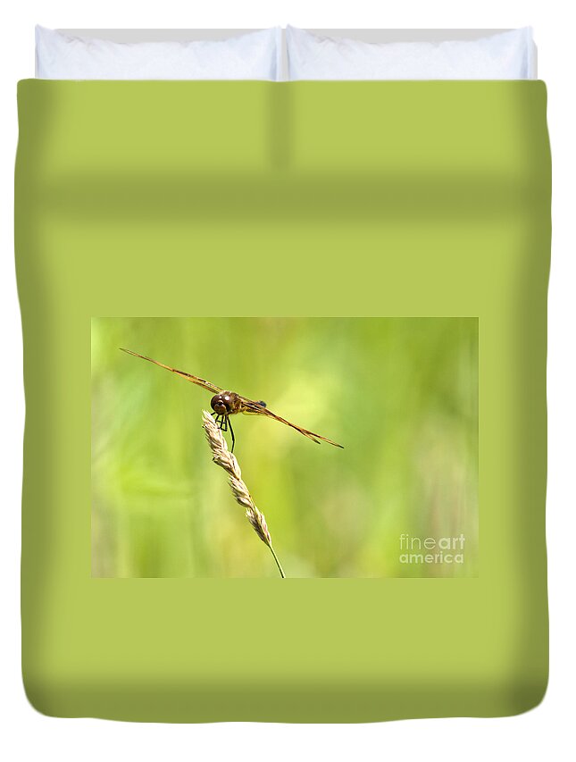 Tiger Striped Dragonfly Duvet Cover featuring the photograph Hang On by Cheryl Baxter