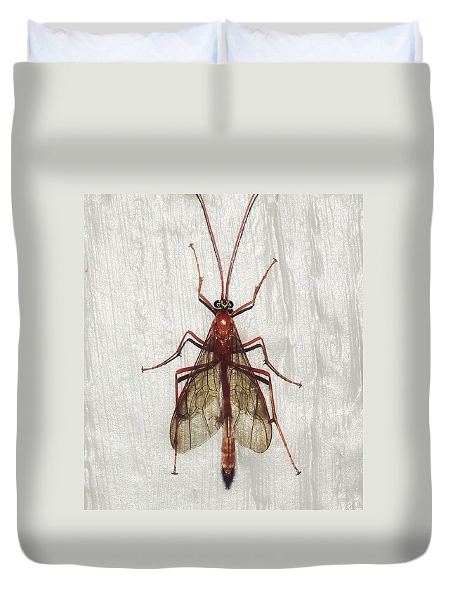 Fly Duvet Cover featuring the photograph Hanging Out by Melanie Lankford Photography
