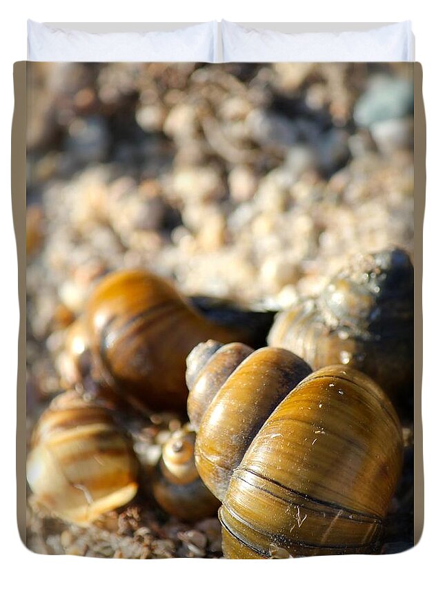 Shells Duvet Cover featuring the photograph Hanging with friends by Deena Withycombe