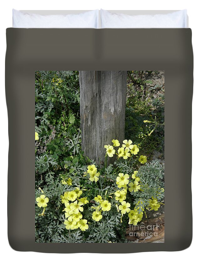 Happy Duvet Cover featuring the photograph Happy Yellow Flowers by Bev Conover