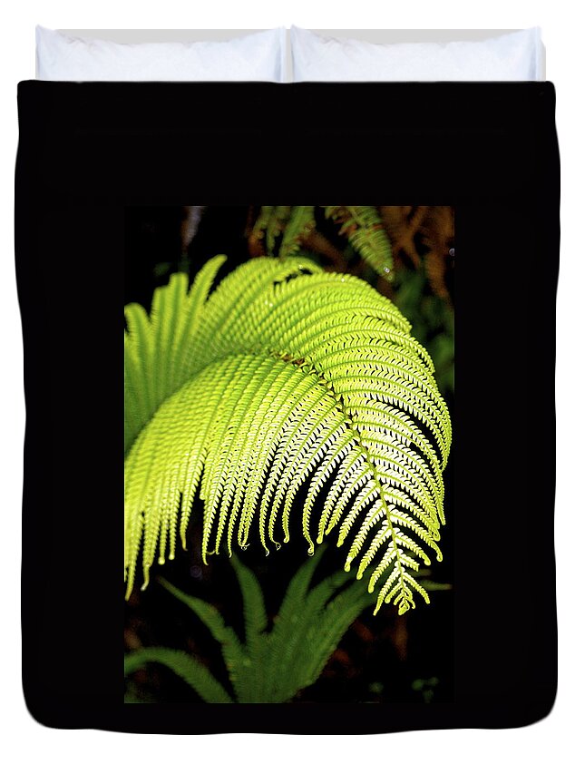 Hawaii Plants Duvet Cover featuring the photograph Hapu'u Fern Frond by Lehua Pekelo-Stearns