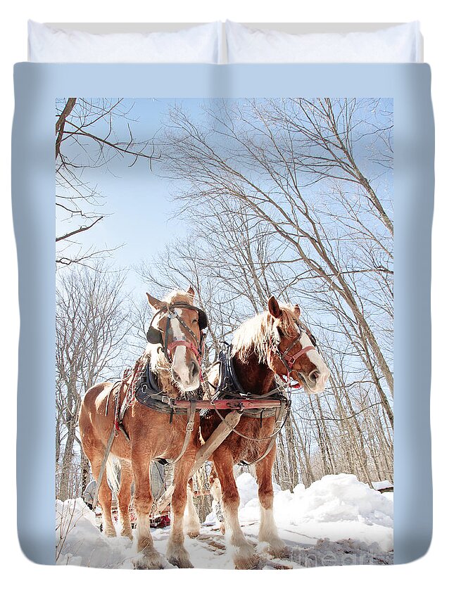 Maple Syrup Duvet Cover featuring the photograph Hard Working Horses by Cheryl Baxter