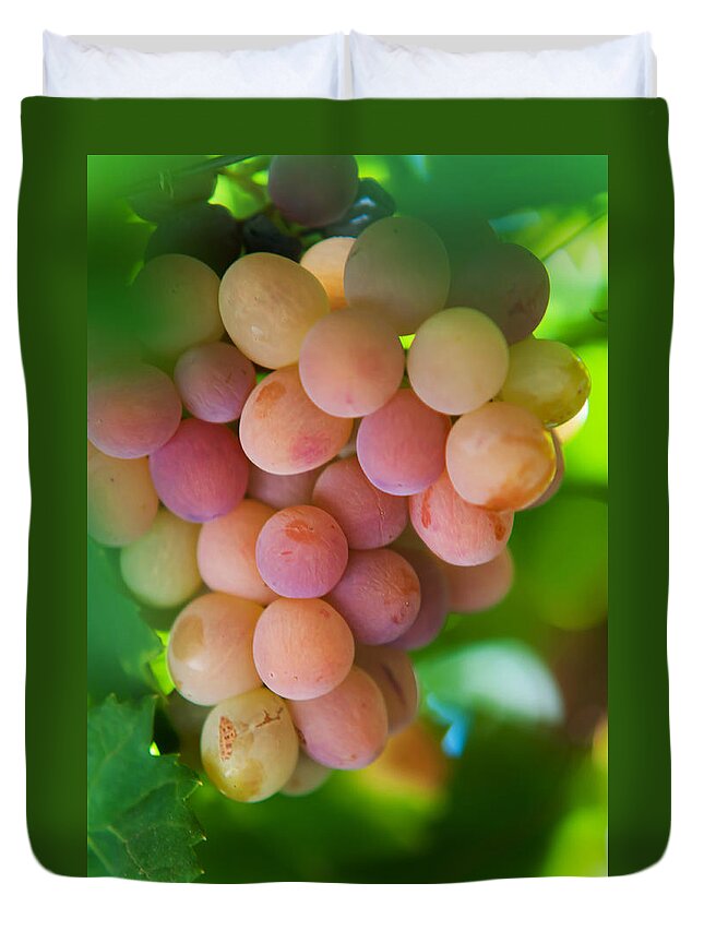 Grape Duvet Cover featuring the photograph Harvest Time. Sunny Grapes by Jenny Rainbow