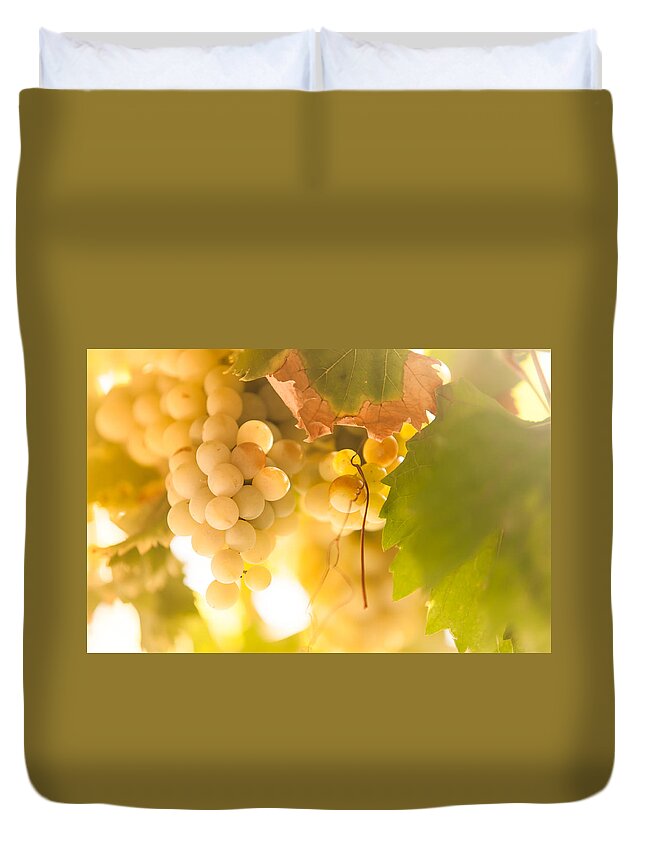Jenny Rainbow Fine Art Photography Duvet Cover featuring the photograph Harvest Time. Sunny Grapes VI by Jenny Rainbow