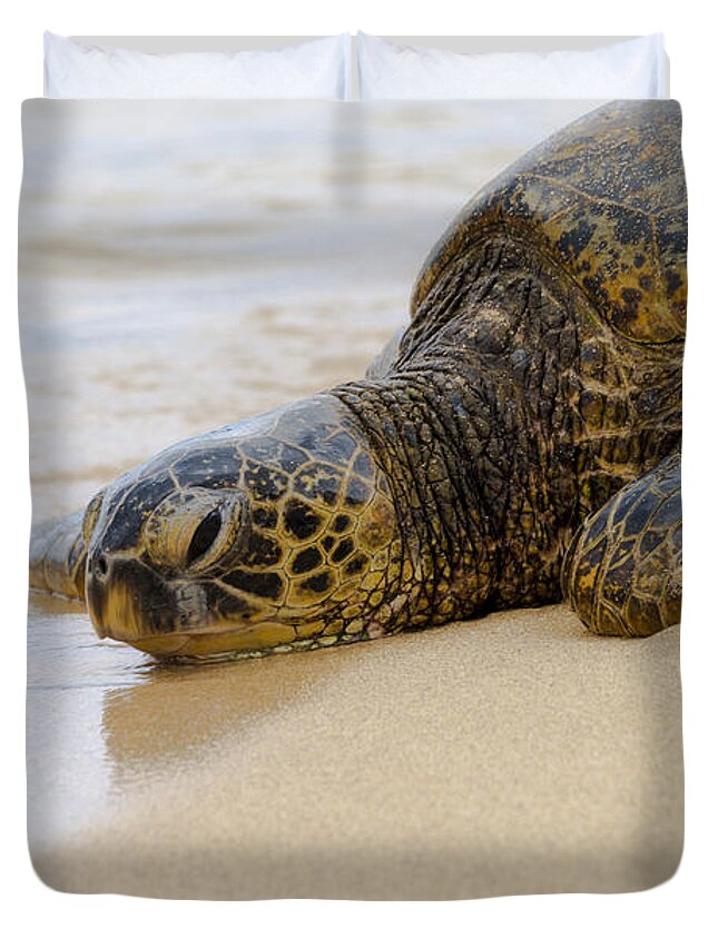 Endangered Hawaiian Green Sea Turtles Of Turtle Beach Oahu Hawaii Duvet Cover featuring the photograph Hawaiian Green Sea Turtle 3 by Brian Harig