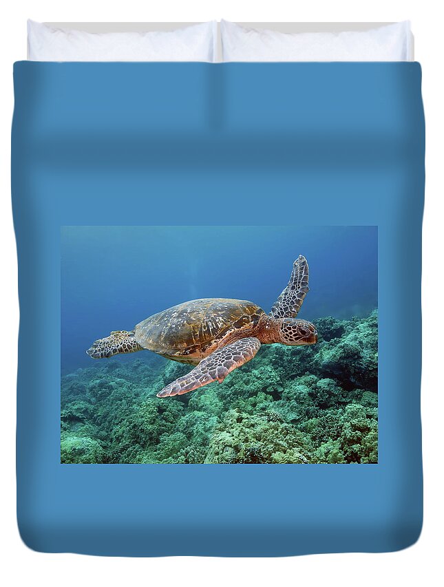 Underwater Duvet Cover featuring the photograph Hawaiian Green Sea Turtle, Kona, Hawaii by Stevedunleavy.com