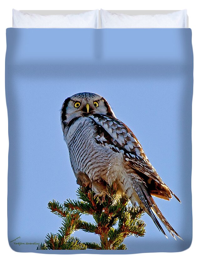 Hawk Owl Square Duvet Cover featuring the photograph Hawk Owl square by Torbjorn Swenelius