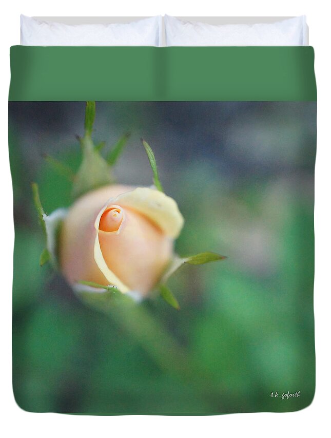 Rosebud Duvet Cover featuring the photograph Hazy Rosebud Squared by TK Goforth