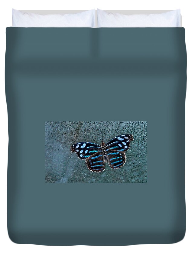 Insects Duvet Cover featuring the photograph HDR Butterfly by Elaine Malott