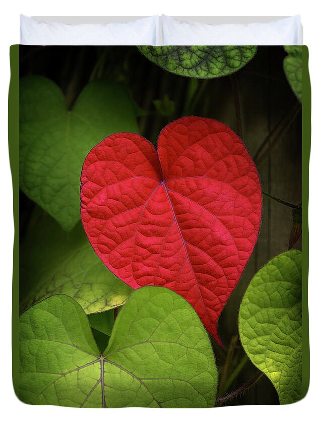 Leaf Duvet Cover featuring the photograph Heart To Take by Philippe Sainte-laudy Photography