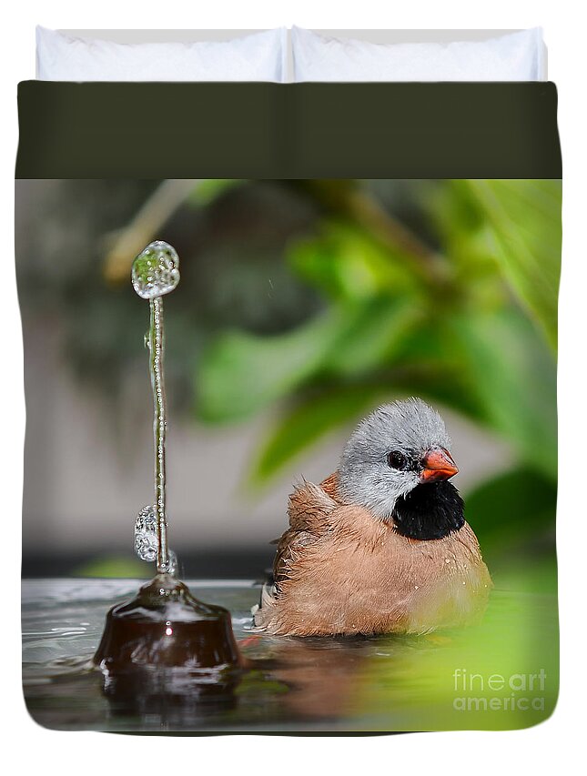Heck's Grassfinch Duvet Cover featuring the photograph Heck's Grassfinch Bath Time by Olga Hamilton