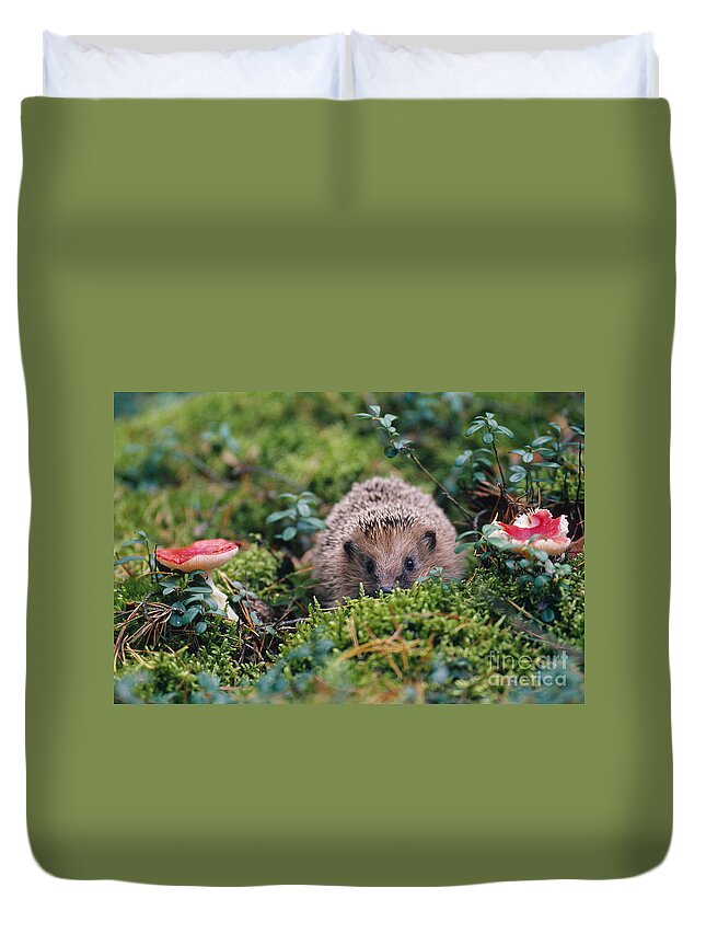 Hedgehog Duvet Cover featuring the photograph Hedgehog, Russia by Art Wolfe