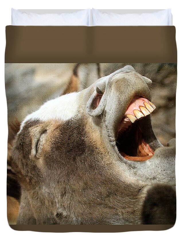 Donkey Duvet Cover featuring the photograph Hee - Haw by Donna Kennedy