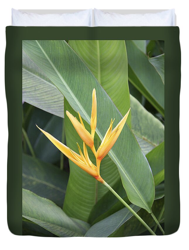 Flowers Duvet Cover featuring the photograph Heliconia by Andre Aleksis