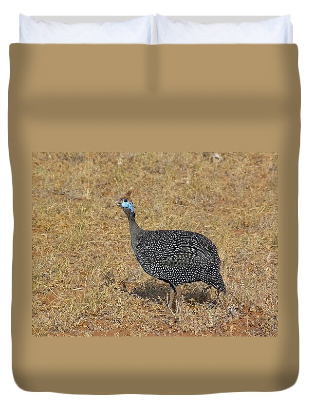 Helmeted Guinea Fowl Duvet Cover featuring the photograph Helmeted guinea fowl by Tony Murtagh