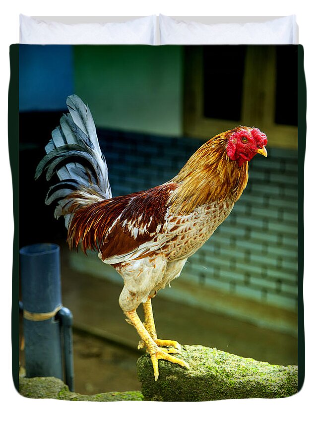 Hen Duvet Cover featuring the photograph Hen On The Wall by Gina Koch