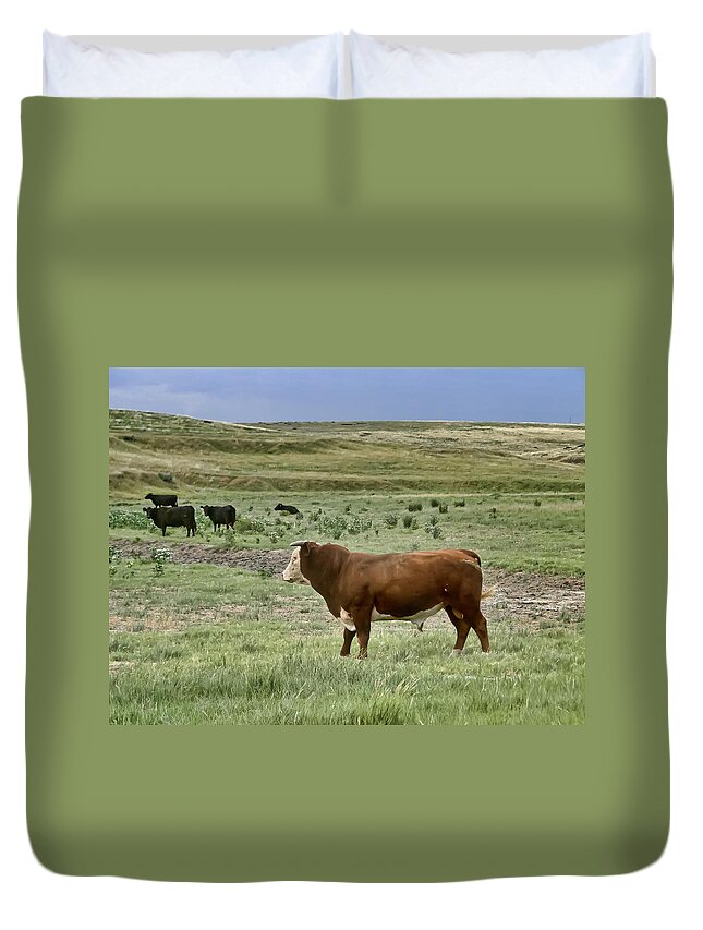 Bull Duvet Cover featuring the photograph Hereford Bull by Alan Hutchins