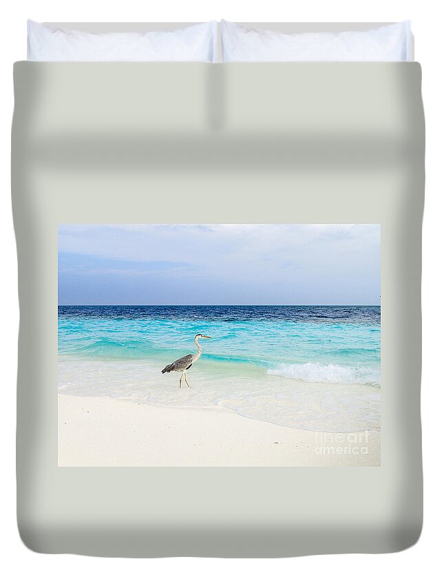 Animal Duvet Cover featuring the photograph Heron Takes A Walk At The Beach by Hannes Cmarits