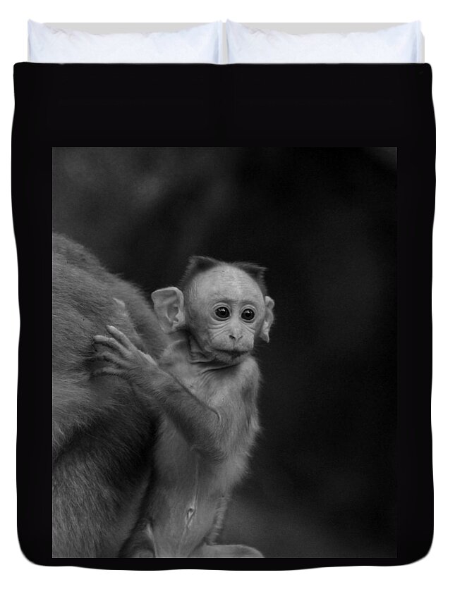 Baby Monkey Duvet Cover featuring the photograph Hey mom look what is there by Ramabhadran Thirupattur