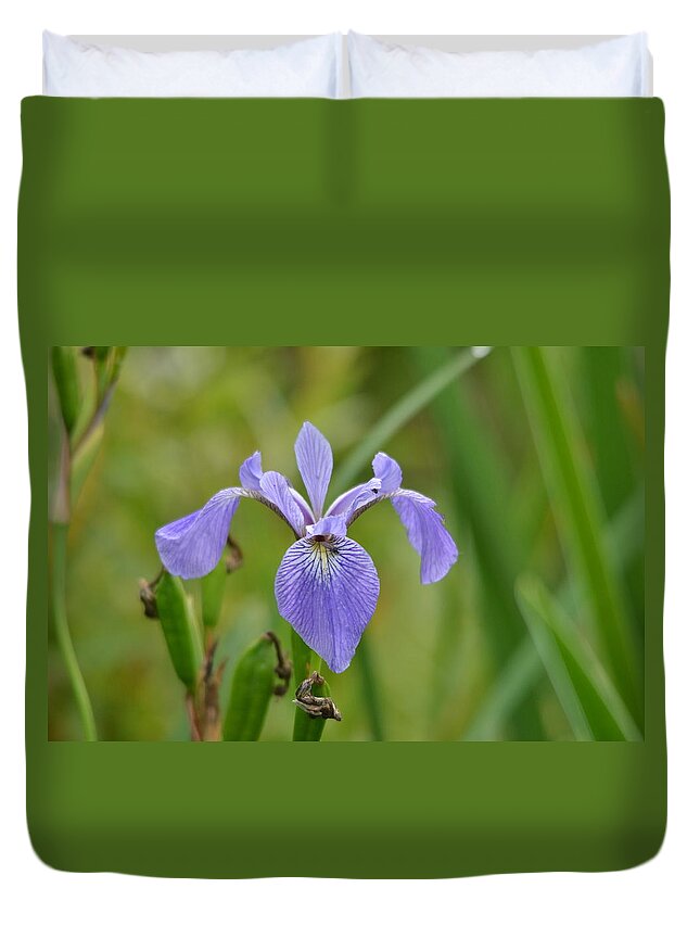 Outdoors Duvet Cover featuring the photograph Hidden Companions by David Porteus