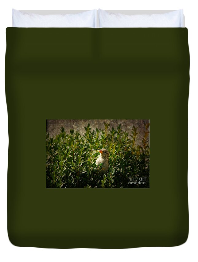 Hide And Seek Duvet Cover featuring the photograph Hide and Seek by Mariola Bitner
