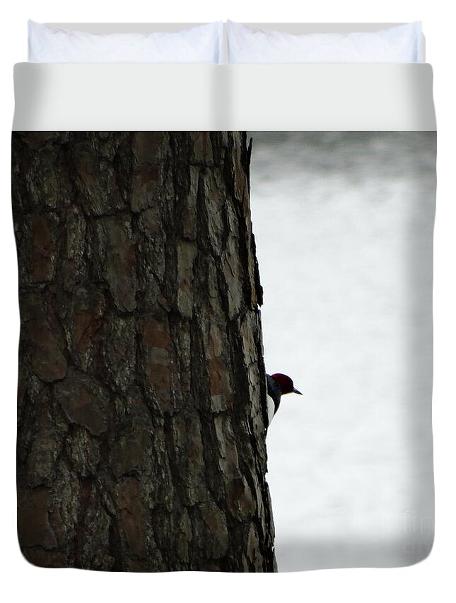 Woodpecker Duvet Cover featuring the photograph Hiding by Joseph Baril