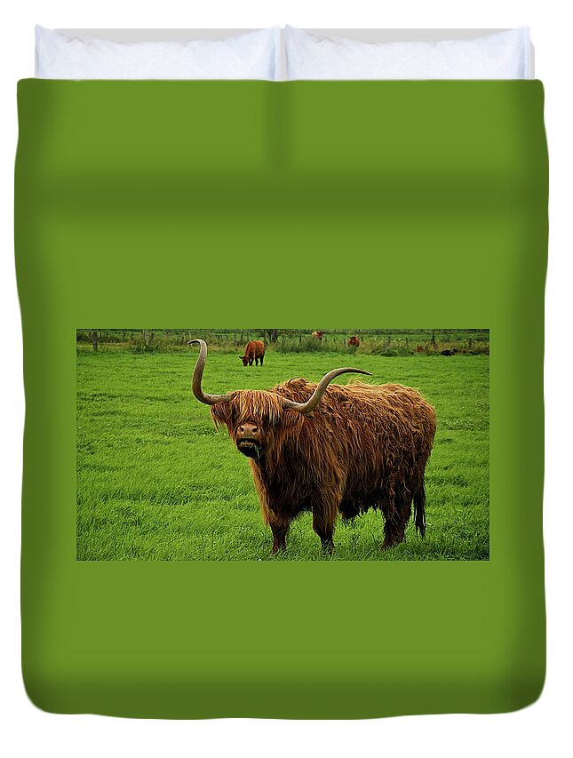 Horned Duvet Cover featuring the photograph Highland Cattle Cow by Paddyllac