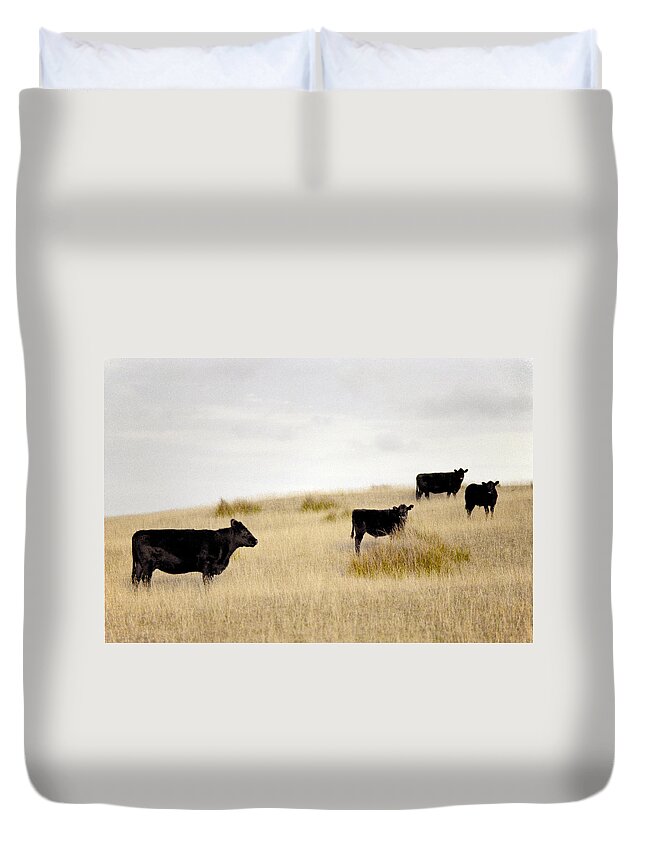 Cattle Duvet Cover featuring the photograph Hilltop Herd @ King Island by Anthony Davey