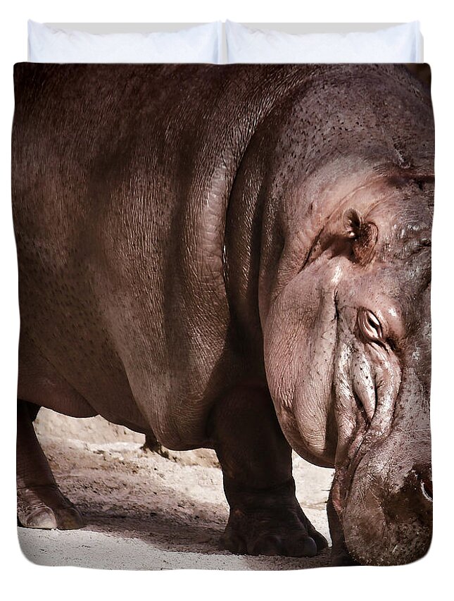 Hippopotamus Duvet Cover featuring the photograph Hippo by Pennie McCracken