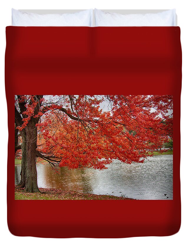 autumn Foliage New England Duvet Cover featuring the photograph Holding our bright red joy by Jeff Folger
