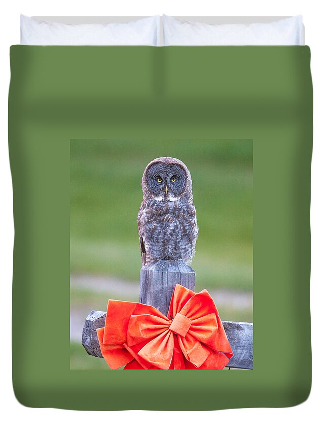 Wildlife Duvet Cover featuring the photograph Holiday Owl by Kevin Dietrich