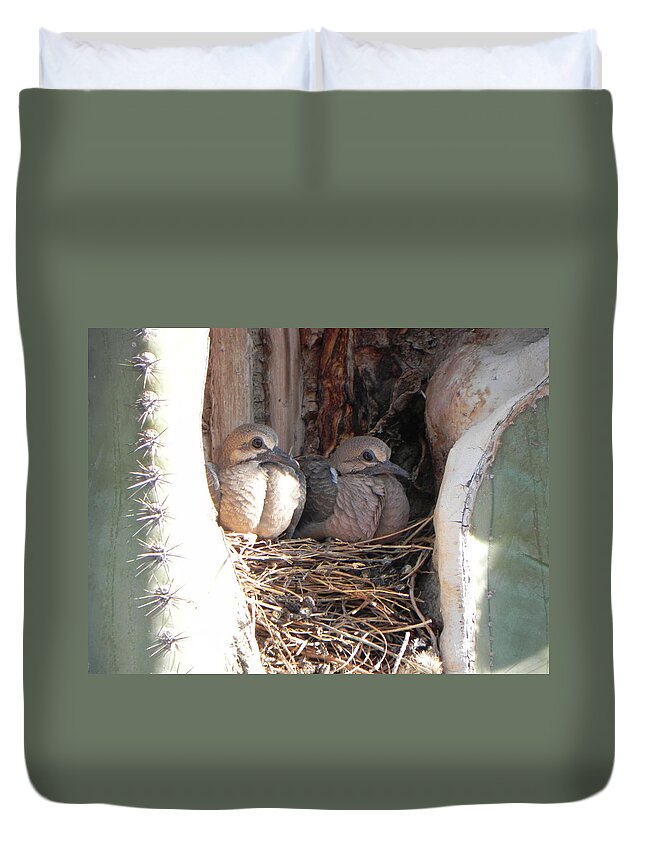 Doves Duvet Cover featuring the photograph Home All Alone by Deb Halloran