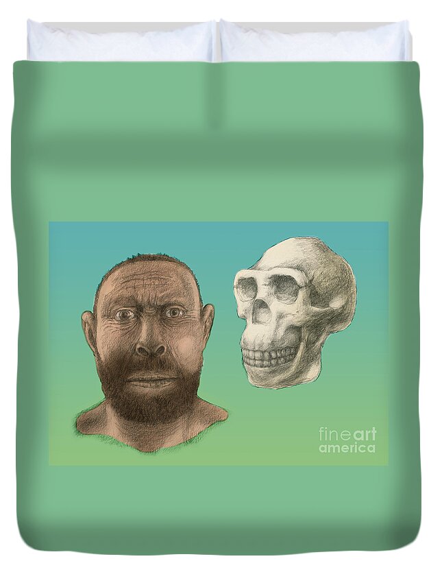 Art Duvet Cover featuring the photograph Homo Erectus Facial Reconstruction by Spencer Sutton