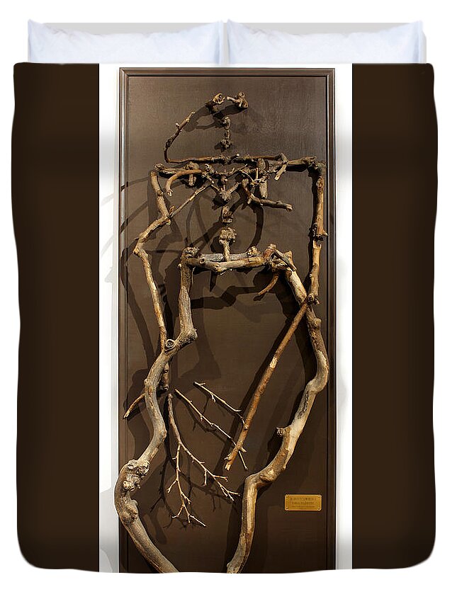 Groot Duvet Cover featuring the sculpture Homosycamorous OR We Evolved From Trees by Adam Long
