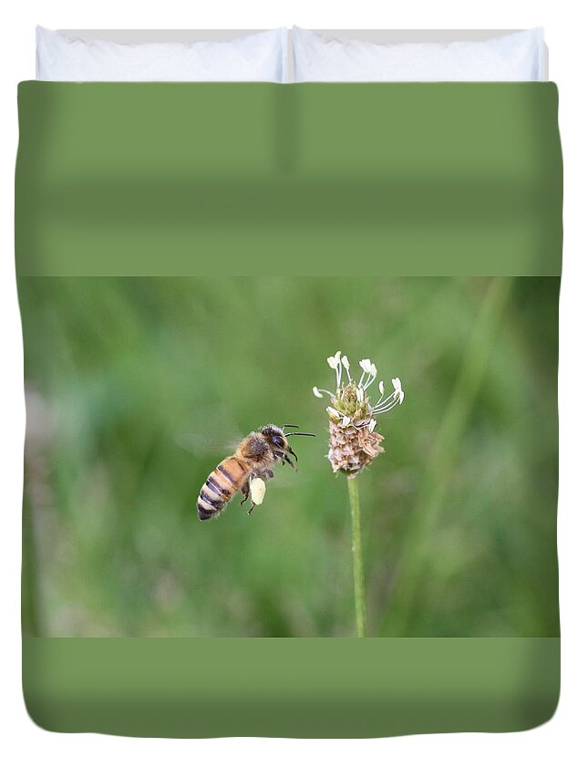 Honeybee Duvet Cover featuring the photograph Honeybee and English Plantain by Lucinda VanVleck