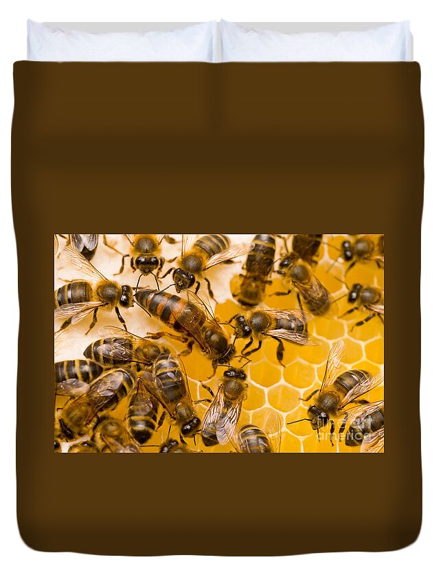 Honey Bees Duvet Cover featuring the photograph Honeybee Workers And Queen by Mark Bowler