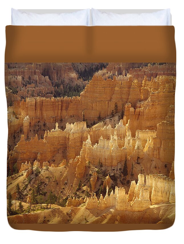 Feb0514 Duvet Cover featuring the photograph Hoodoos Bryce Canyon Utah by Gerry Ellis