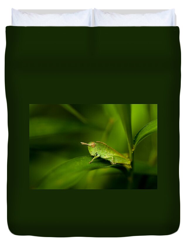 Grasshopper Duvet Cover featuring the photograph Hopper by Shane Holsclaw