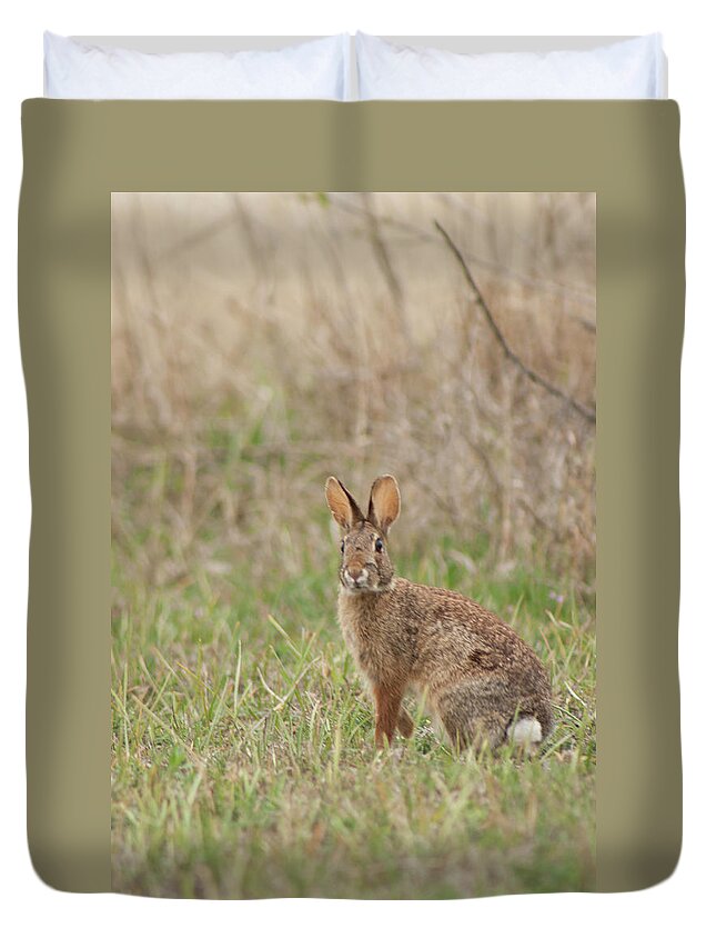 Grass Duvet Cover featuring the photograph Hoppy Easter by Gingerlyspiced Photography - Torilynn Goerke-dearing