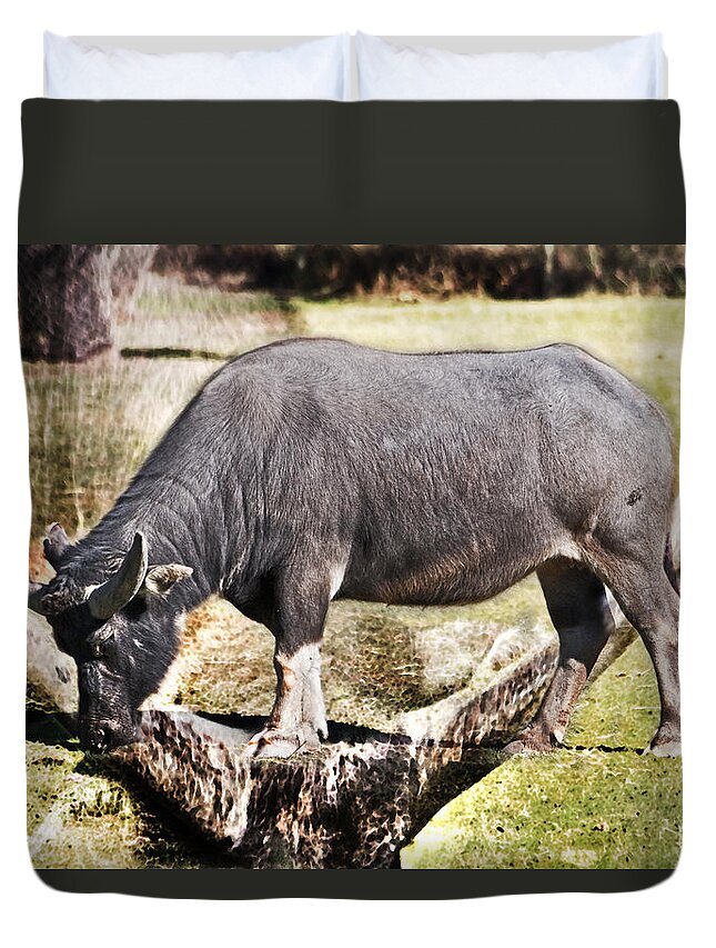 #water Buffalo Duvet Cover featuring the photograph Horn of a Buffallo by Miroslava Jurcik