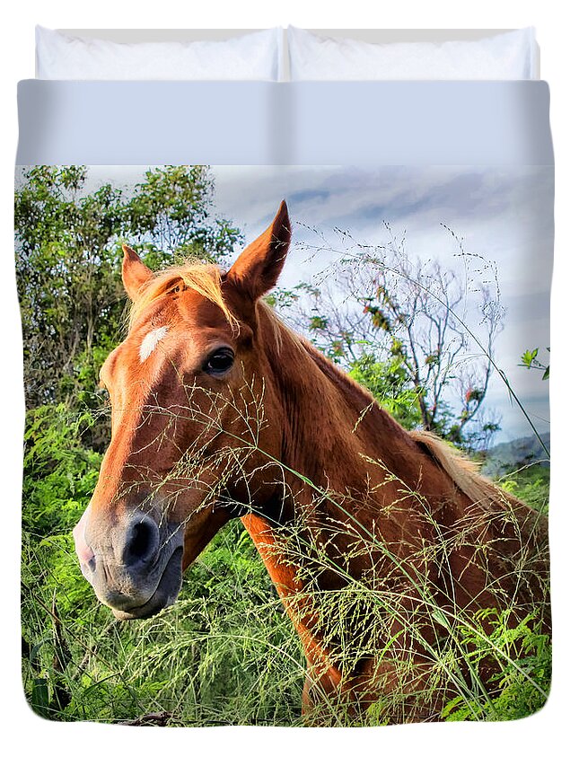 Horse Duvet Cover featuring the photograph Horse 1 by Dawn Eshelman