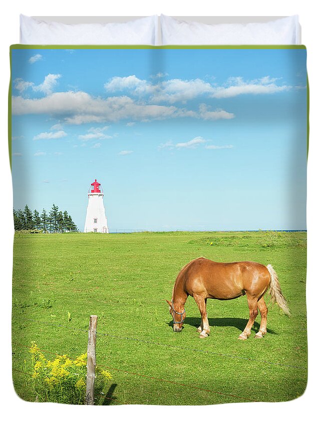 Horse Duvet Cover featuring the photograph Horse And Lighthouse by Elisabeth Pollaert Smith