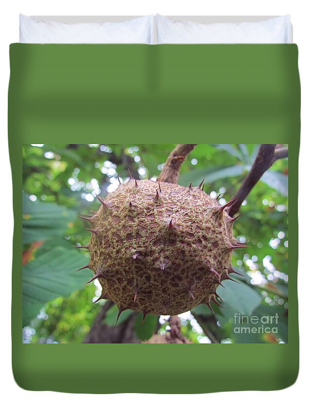 Horse Chestnut Tree Duvet Cover featuring the photograph Horse Chestnut Tree by Elizabeth Dow